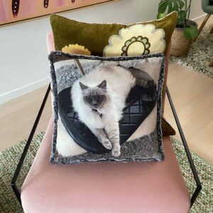 Custom Pet Pillows, Custom Pet Cushions, Custom Pet Photo Pillows