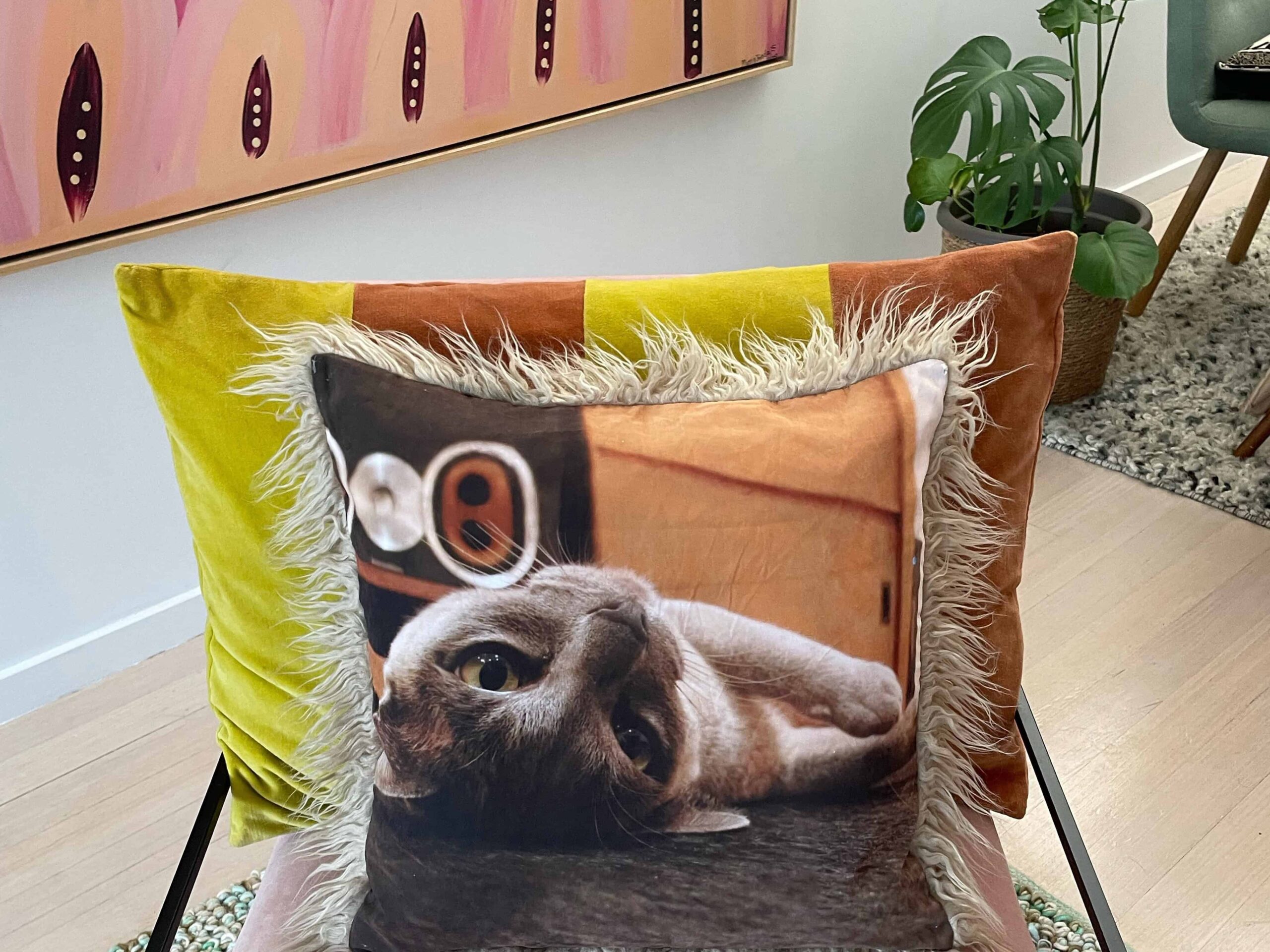 Memorial Photo Pillows Australia Pet Memorial Photo Pillows Australia