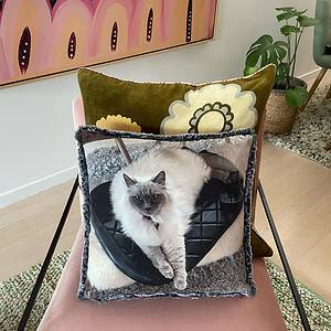 Custom Pet Pillows, Custom Pet Cushions, Custom Pet Photo Pillows