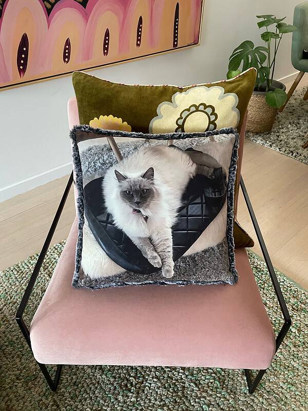 Custom Pet Pillows, Custom Pet Cushions, Custom Pet Photo Pillows