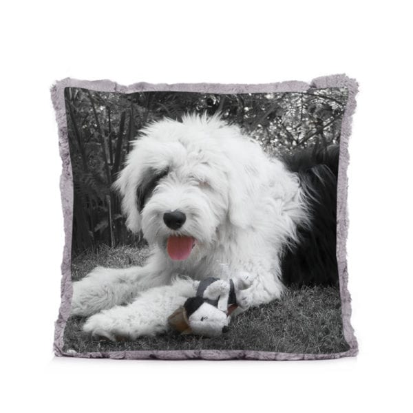 Quality Pet Photo Cushion and Pillows