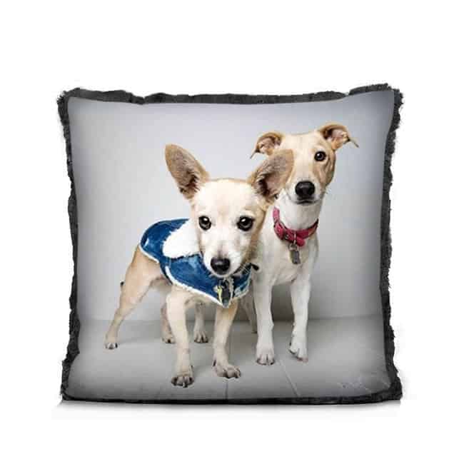 BLACK SNUGGLER <br/> The Snuggler Fabric Collection - Image 4
