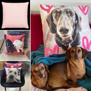 Pet Photo Pillow