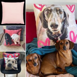 PEACH FUZZ LUXE Peach Skin Fabric Collection