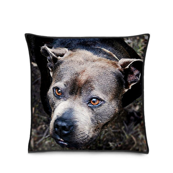Pet photo pillow Australia