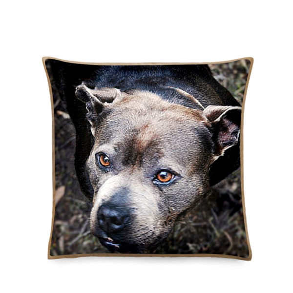Custom Pet Photo Cushions
