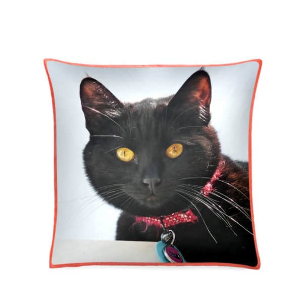 Pet Photo Cushions & Pillows