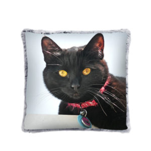 Cat Photo Pillow