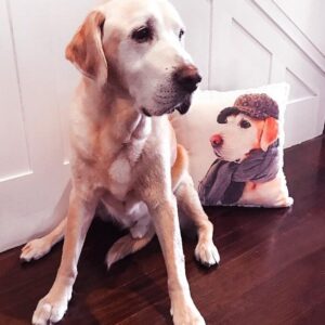 Pet Memorial dog Cushions & Pillows
