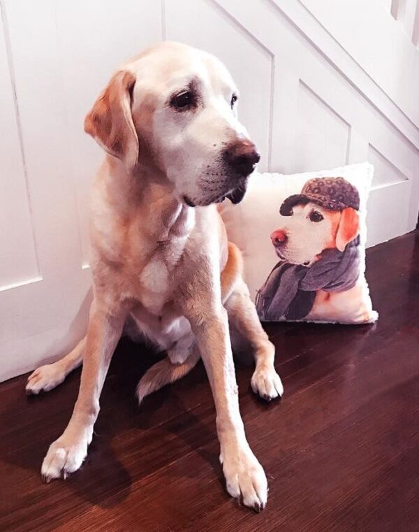 Pet Memorial dog Cushions & Pillows