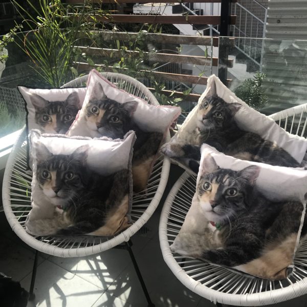 Custom Pet Photo Cushions - Keepsakes of Love - Pussy Galore