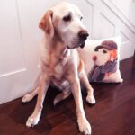 Pet Condolence Custom Pet Pillows and Cushions