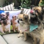 Pet Loss Gift Australia