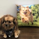Pet Pillows Australia Melbourne, Dog Photo Pillow, Pet Pillow