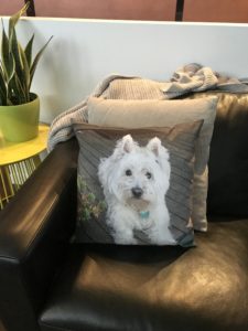 Pet Memorial - West Highland White Terrier