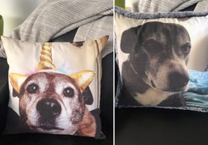 Pet Photo Pillows & Cushions Australia