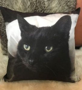 Luxury Pet Photo Cushions & Pillows