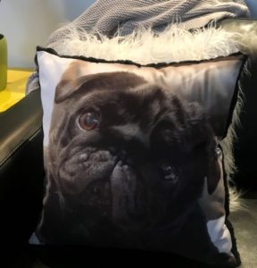Custom Pet Pillows Australia | Pug
