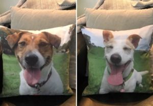 Pet Photo Cushions & Pillows