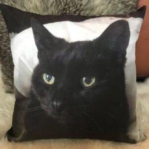 Cat Memorial Pillow Cushion