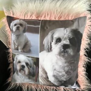Dog Memorial Gift