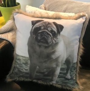 Luxury Pet Photo Cushions and Pillows Australia