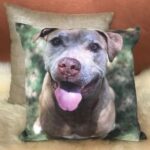 Pet Loss Gifts, Condolence Gifts, Memorial cushions.