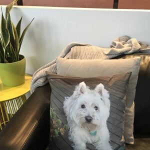 Pet Memorial Cushions and Pillows