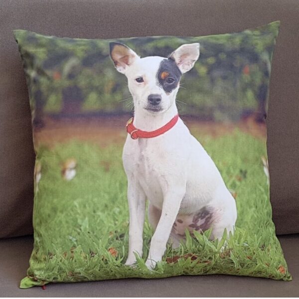 Pet Memorial Pillows Australia