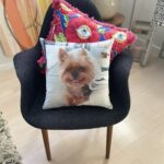 Pet Loss Gifts, Personalised Photo Pillows