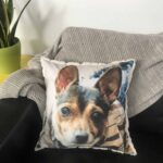 Custom Pet Pillows Australia