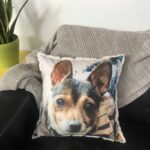 Comfort Care for Dementia Australia