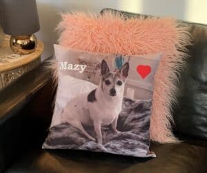 Pet Memorial Gift Australia | Pet Photo Pillows & Cushions