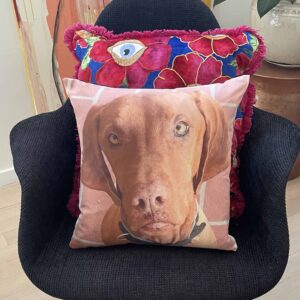 Pet Loss Pillow