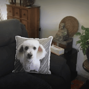 Pet Loss Gifts Australia