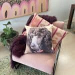 Pet Photo Cushions and Pillow