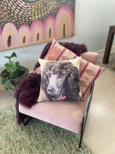 Pet Photo Cushions and Pillow