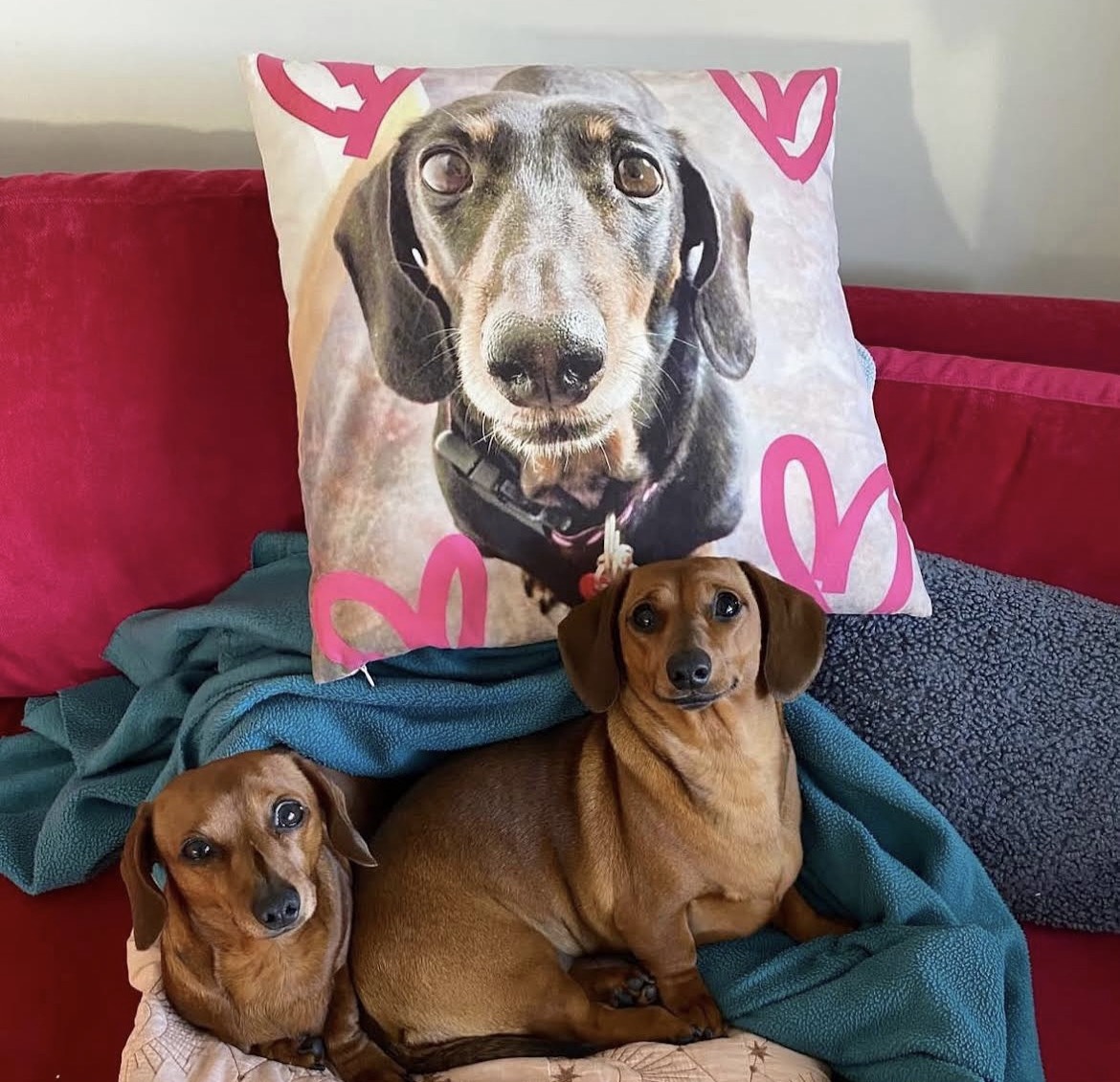 Pet Memorial Gifts Australia