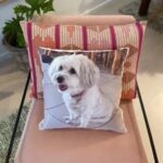 Pet Memorial Photo Cushion Gifts Australia