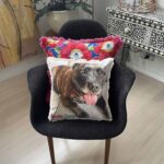 Custom Pet Pillow Australia