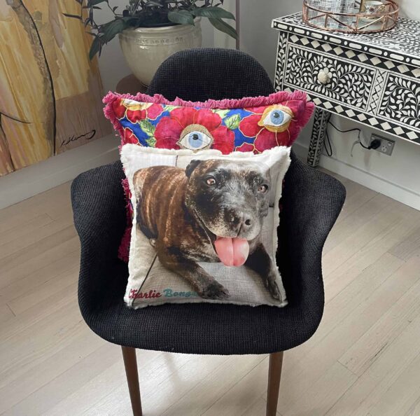 Custom Pet Pillow Australia