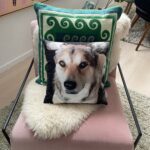Pet Memorial Gifts Hobart Tasmania, Keepsake cushion, Personalised Memorial Gift