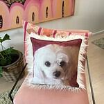 Personalised Photo Cushions Australia