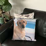 Photo Pillow Australia