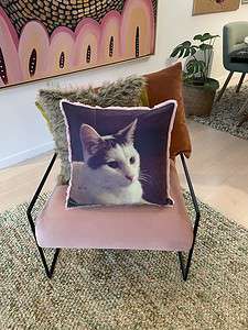 Pet Memorial Photo Pillow Australia