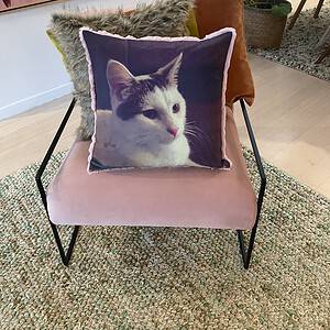 Pet Memorial Photo Pillow Australia