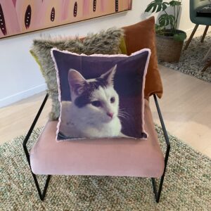 Pet Memorial Photo Pillow Australia. Cat lovers gifts.