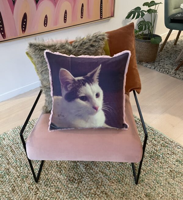 Pet Memorial Photo Pillow Australia. Cat lovers gifts.