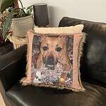 Pet Loss Gift Basket