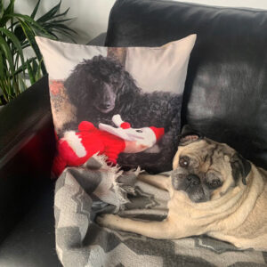 Christmas Pillows. Personalised Pet Memorial Gifts.